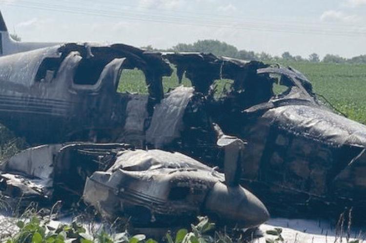 THE PILOT died after his plane crashed into a soybean field and caught fire. Submitted